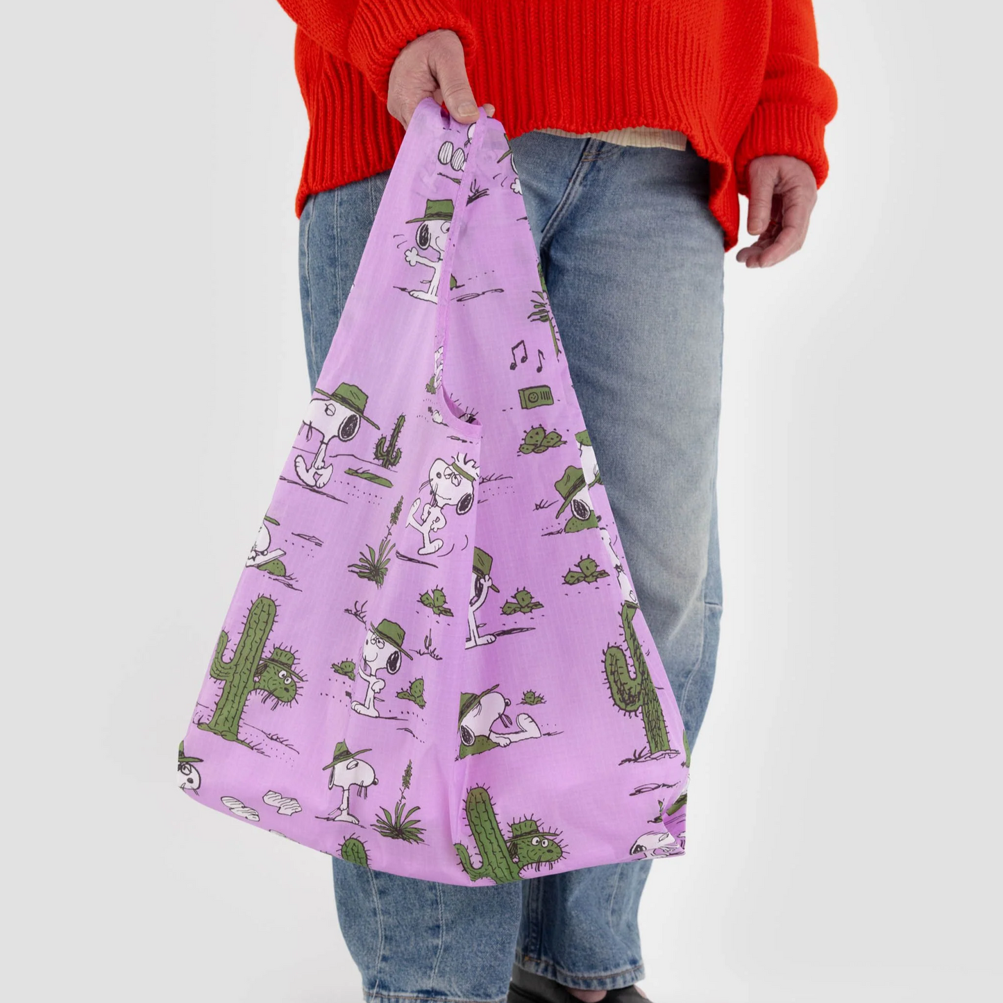 Standard Baggu - Pink Spike
