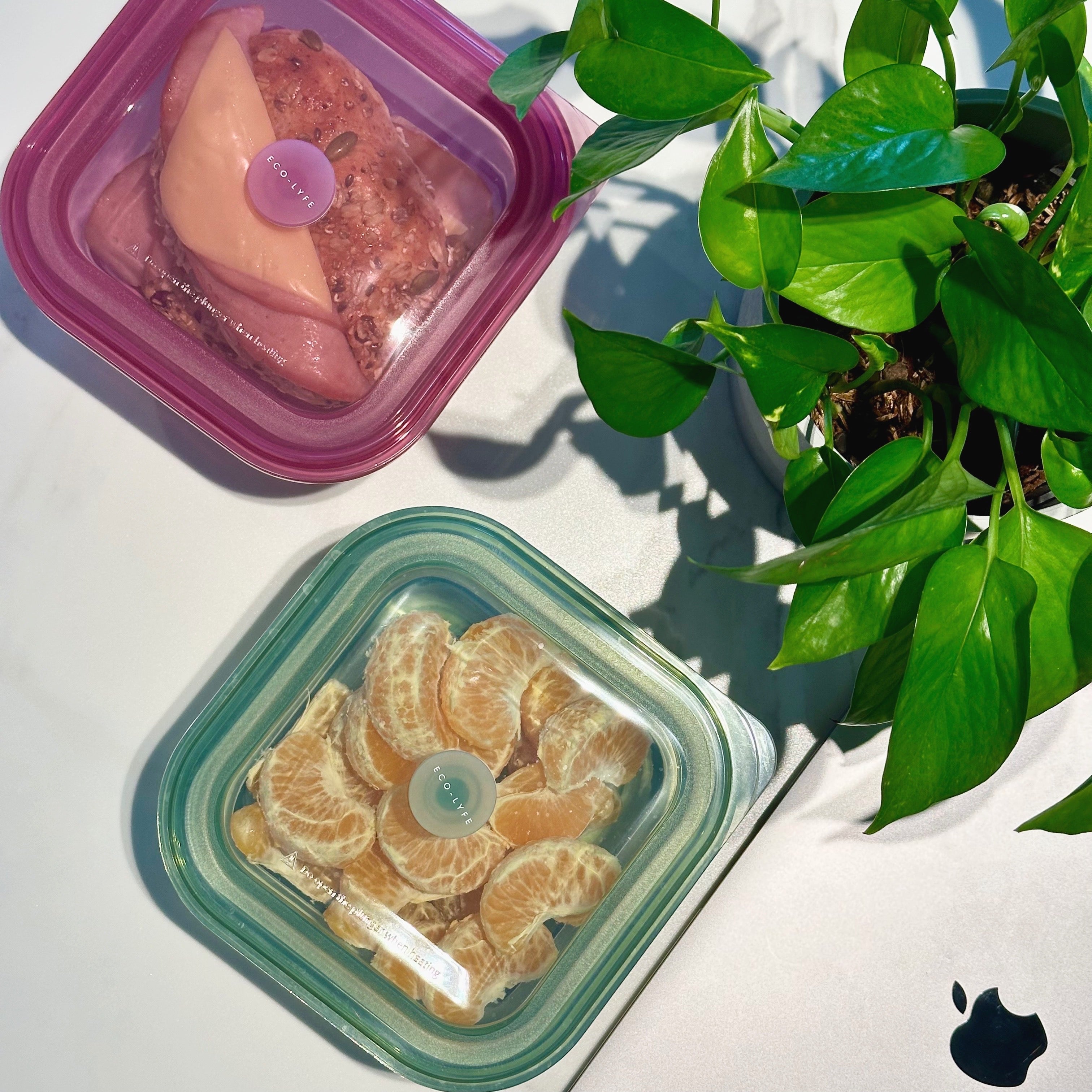 [Eco-Lyfe] Packable Box (Collapsible 600/900ml/1200ml)