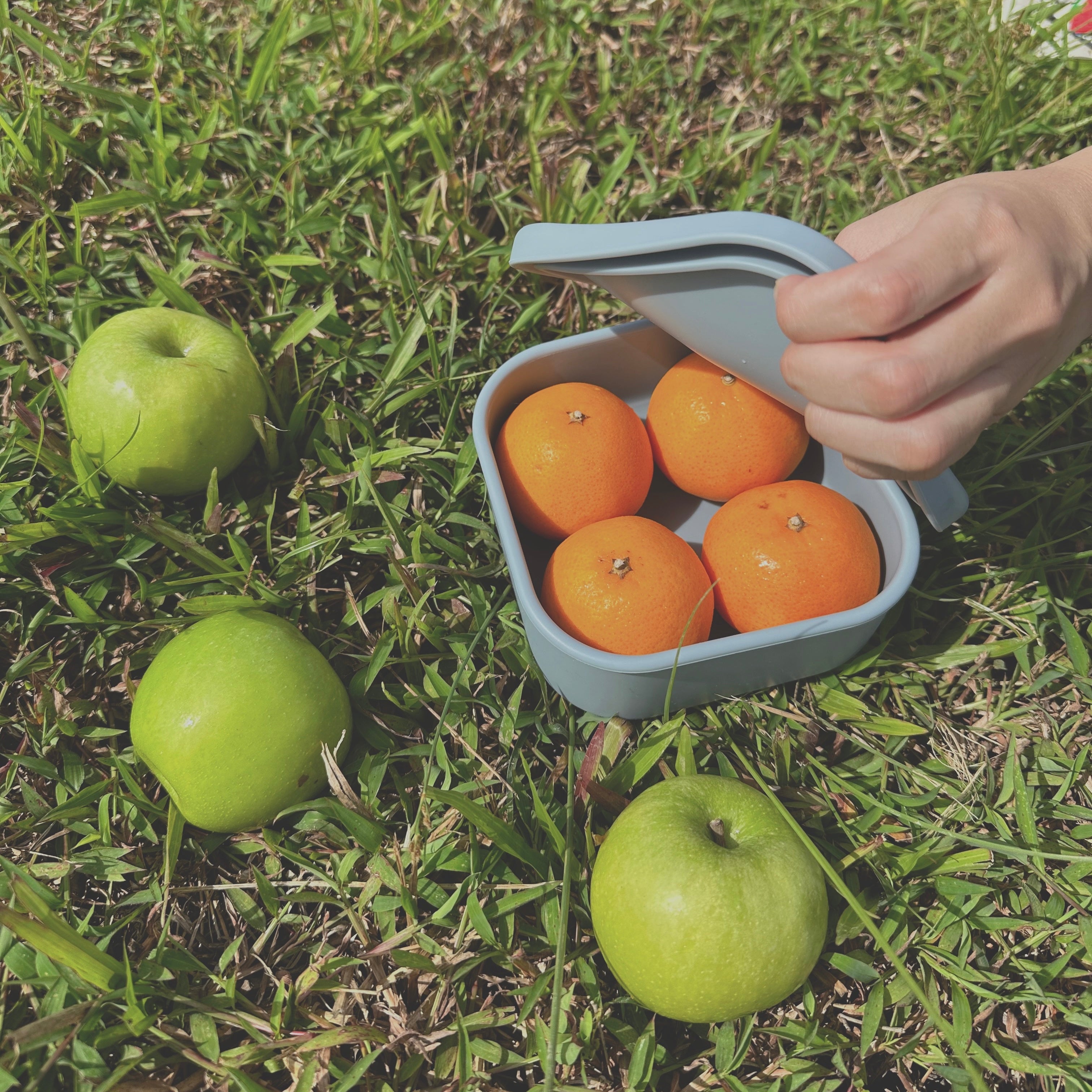 [Eco-Lyfe] Mini Bento Box (Square)