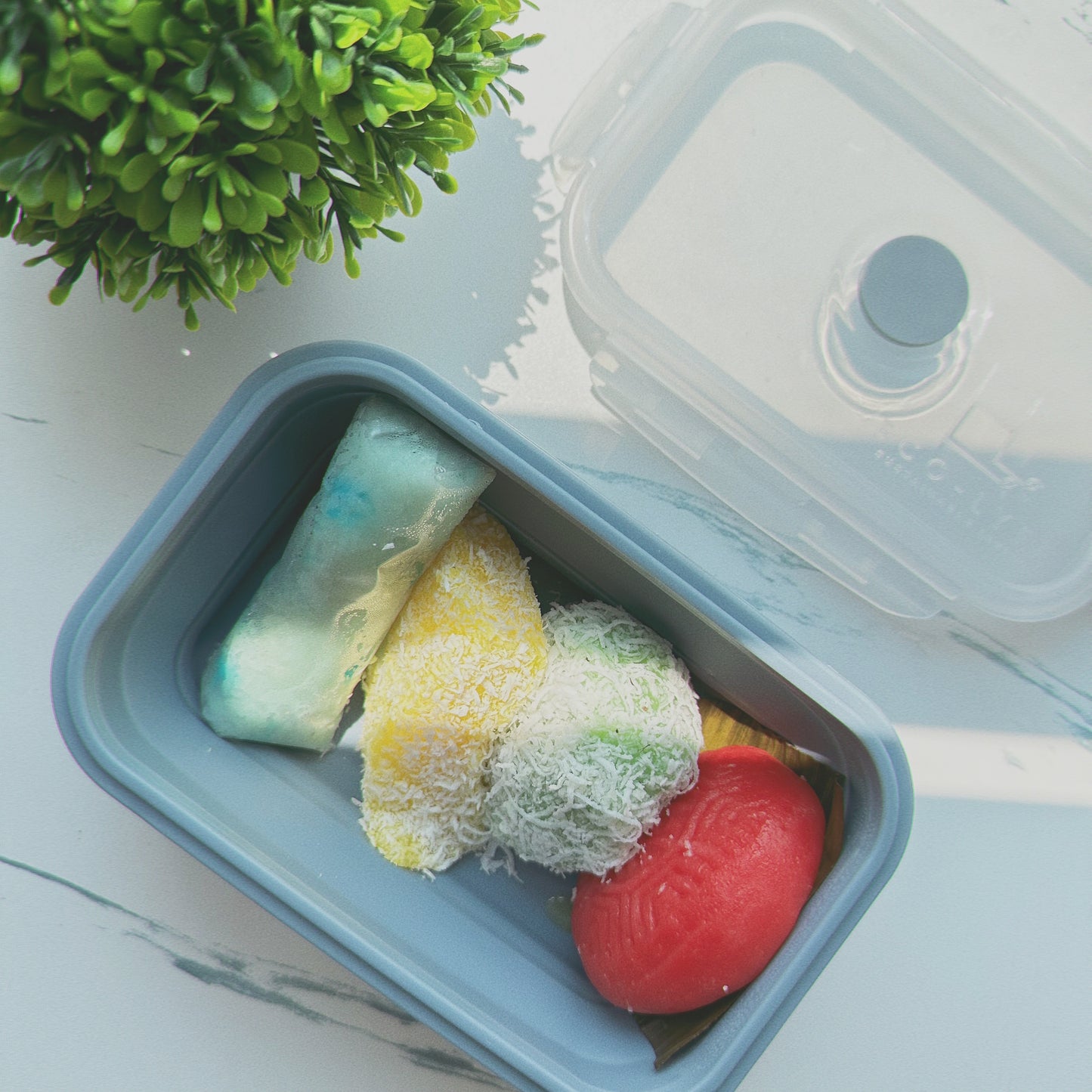 [Eco-Lyfe] Collapsible Silicone Lunchbox