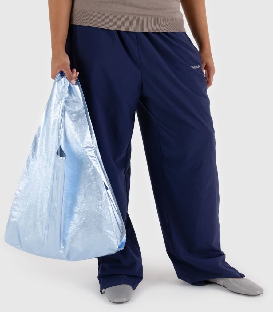 Standard Baggu - Metallic Light Blue