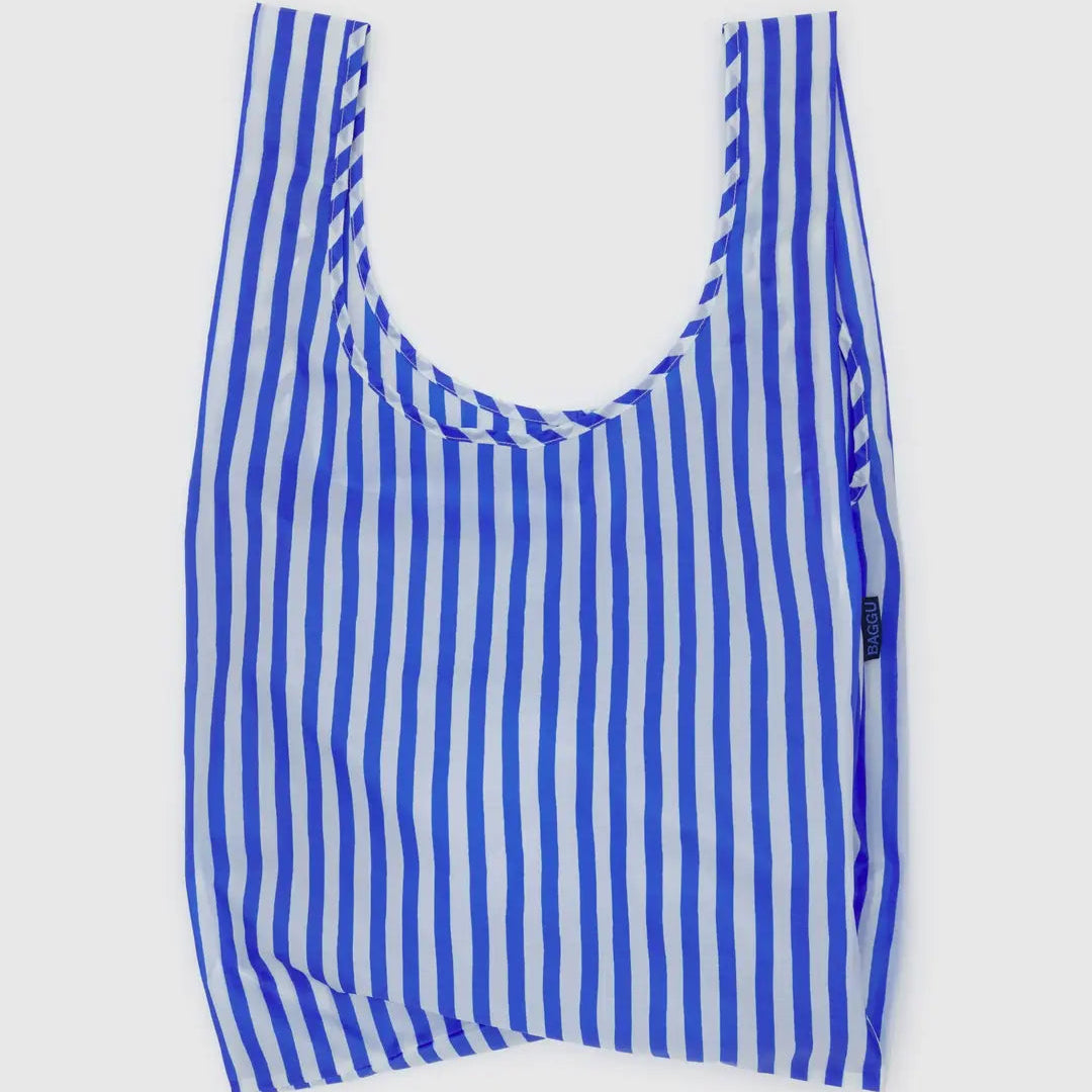 Standard Baggu - Blue Painted Stripe