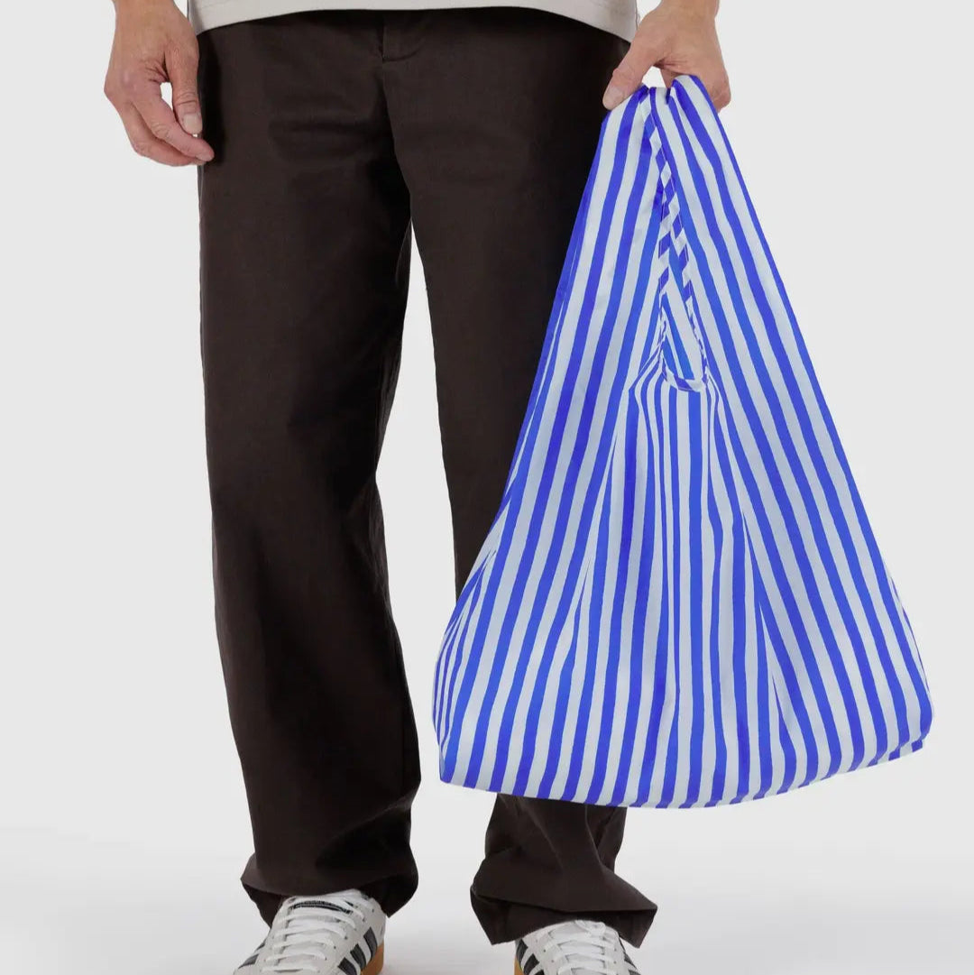 Standard Baggu - Blue Painted Stripe