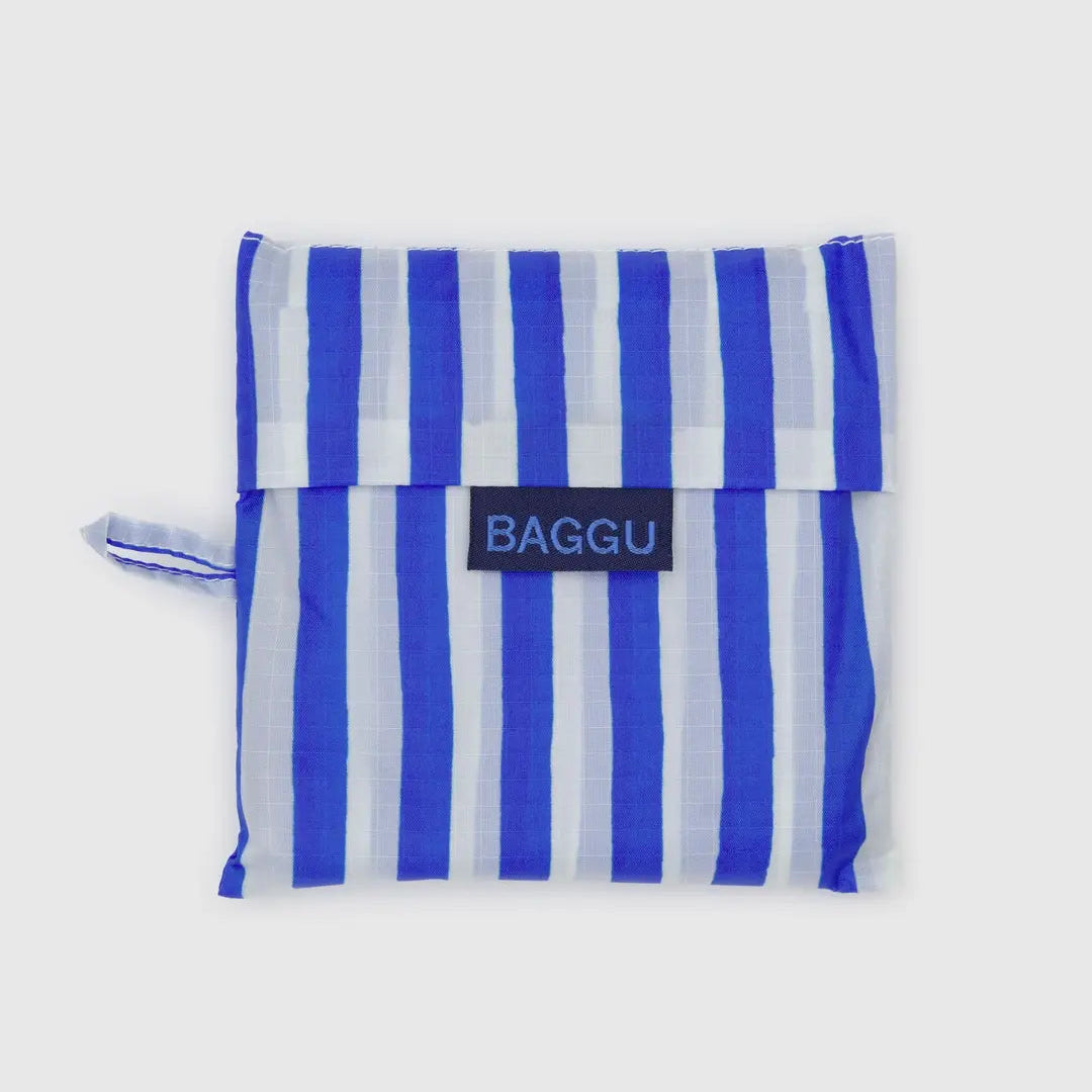 Standard Baggu - Blue Painted Stripe
