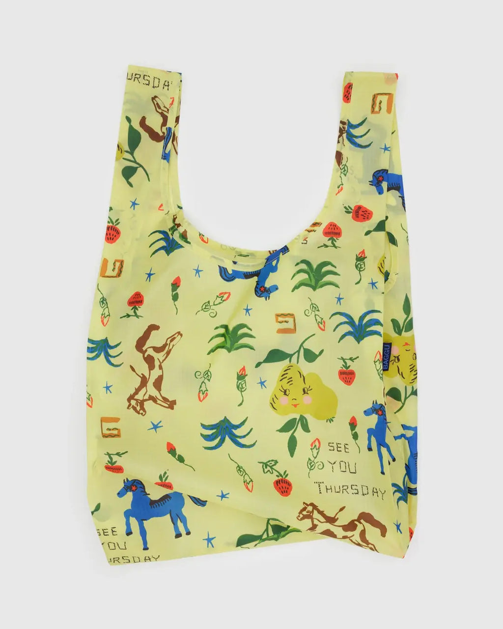 Standard Baggu - Painted Prairie