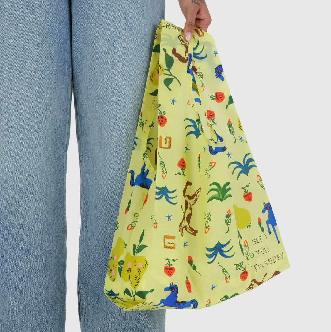 Standard Baggu - Painted Prairie