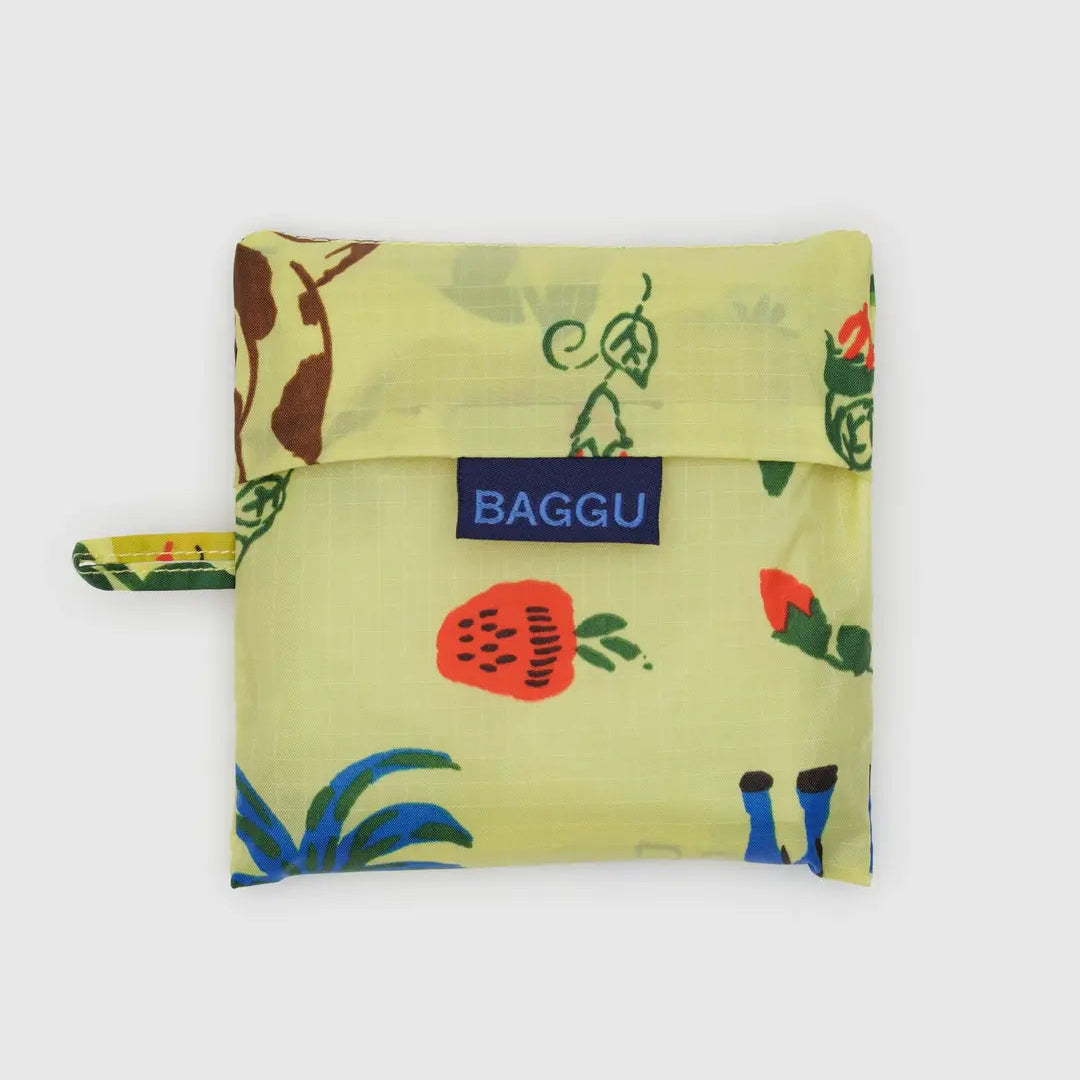 Standard Baggu - Painted Prairie