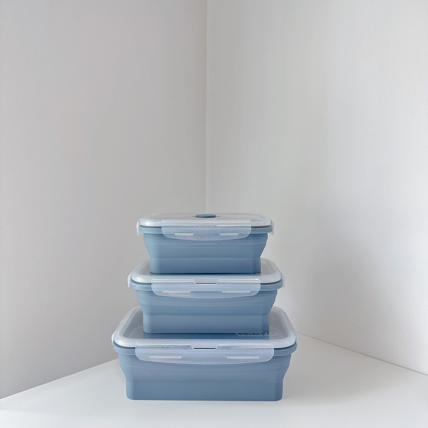 [Eco-Lyfe] Collapsible Silicone Lunchbox